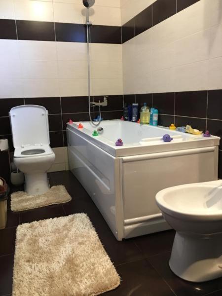 Vila Evaemma Năvodari Esterno foto